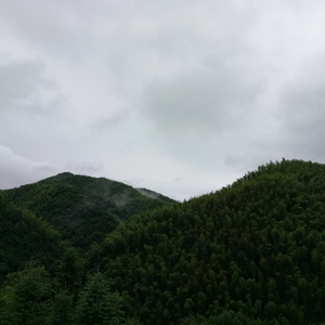 俄罗斯艳女色情A片
